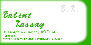 balint kassay business card